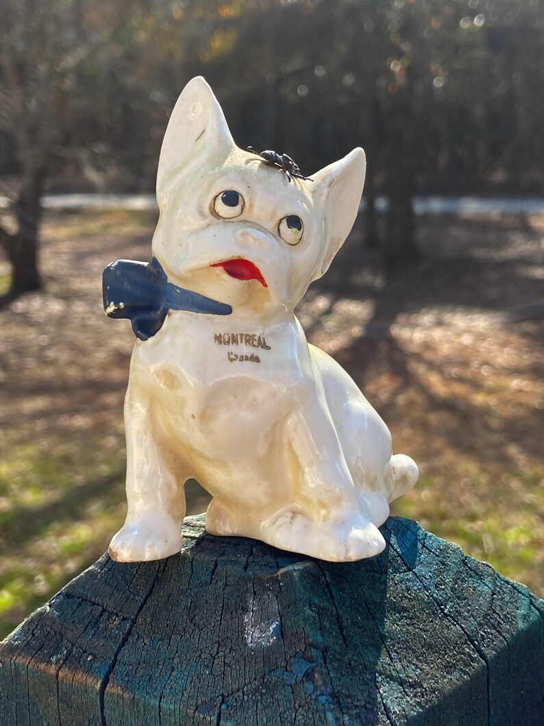Fly on Dog Head Figurine, Ceramic Dog Montreal Canada Dog Collectible
