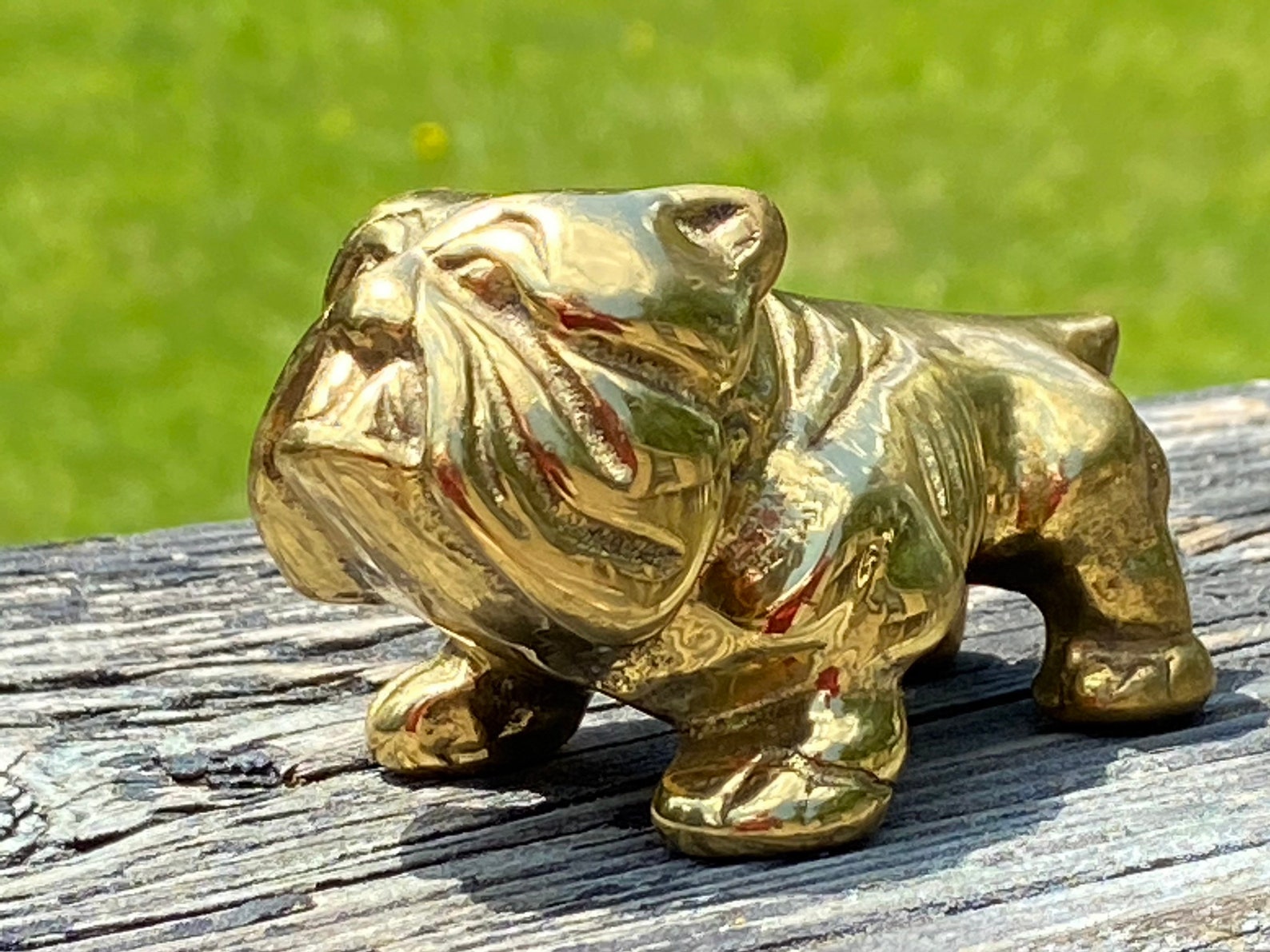 Brass Bulldog Figurine Brass English Bulldog Dog Statue Etsy