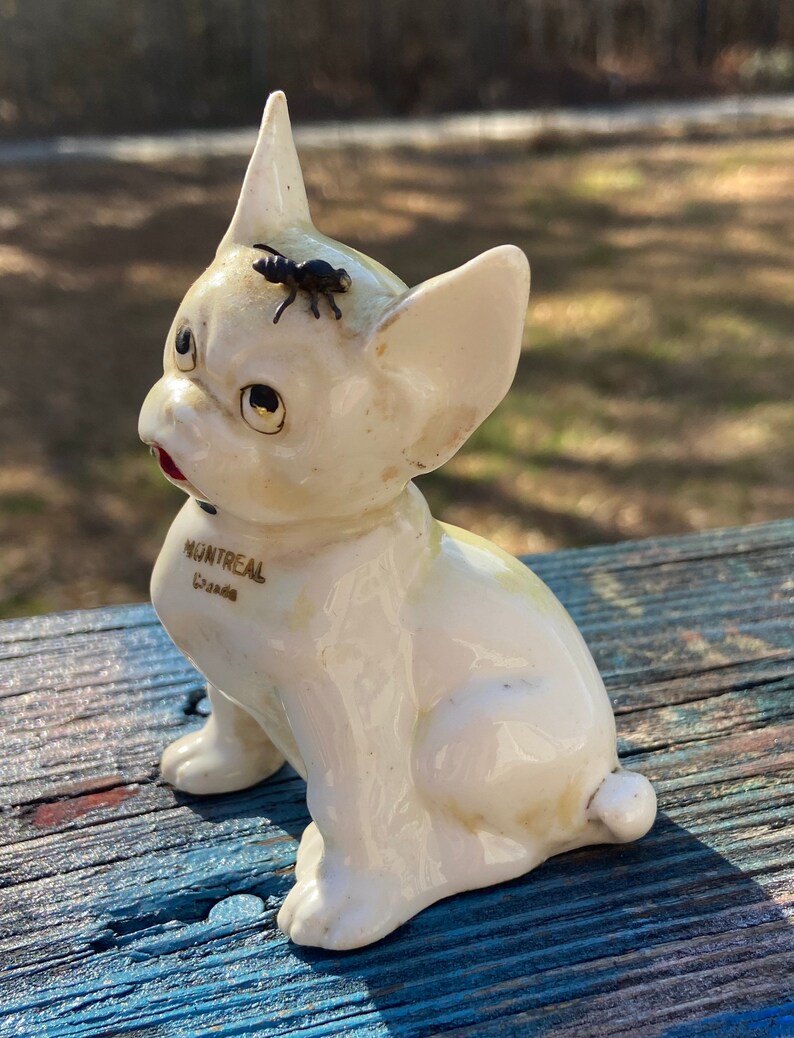 Fly on Dog Head Figurine, Ceramic Dog Montreal Canada Dog Collectible