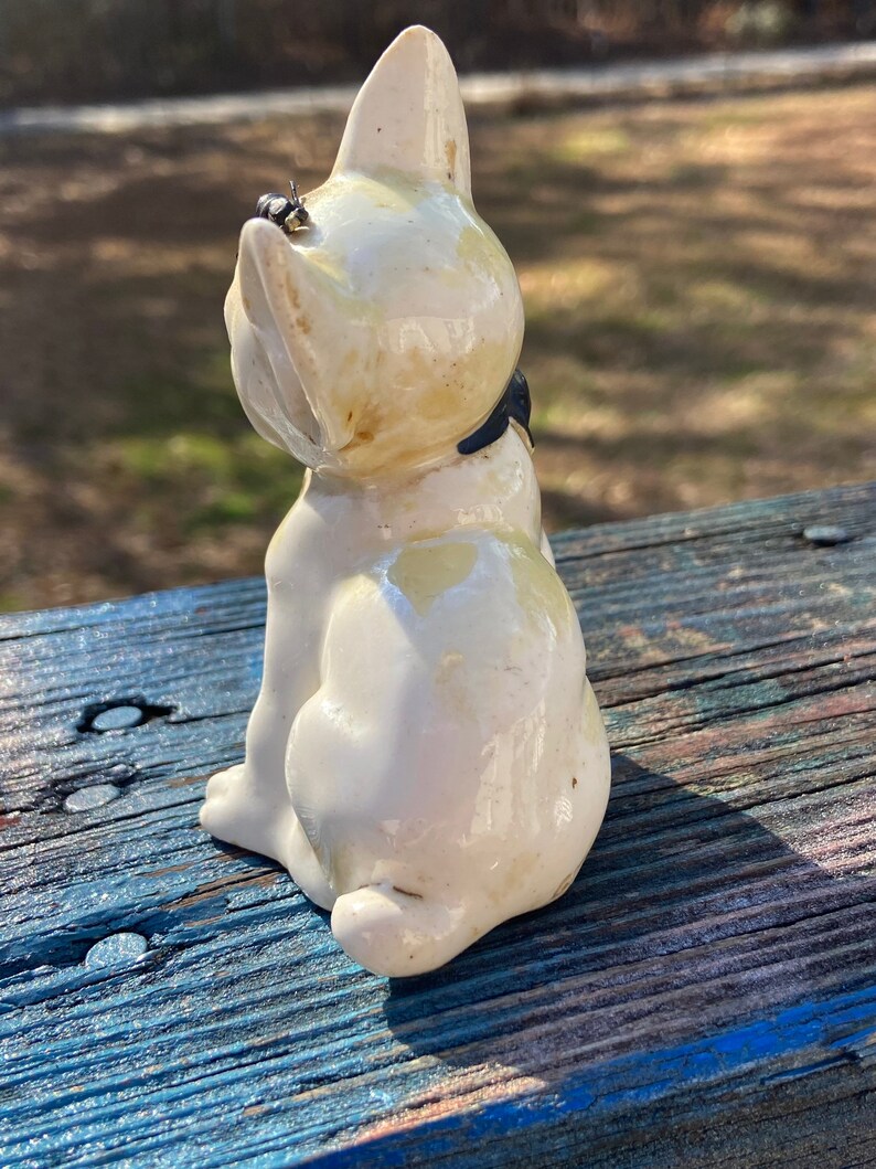 Fly on Dog Head Figurine, Ceramic Dog Montreal Canada Dog Collectible