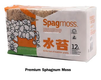 150 g de musgo Sphagnum - Espagmoss neozelandés de fibra larga