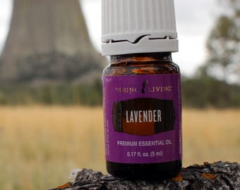 Lavender Essential Oil - 5 mL by Young Living