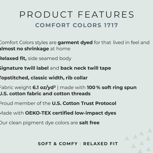 May include: Text on a light green background reads "PRODUCT FEATURES COMFORT COLORS 1717." Bullet points describe garment features, including garment-dyed styles, relaxed fit, and fabric weight of 6.1 oz/yd&sup2;.