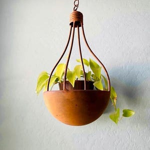 May include: A rust-colored metal hanging planter with a hemispherical bowl and a cage-like frame suspended by a chain. A potted plant with bright lime-green, heart-shaped leaves sits inside the bowl, with foliage trailing over the edges.