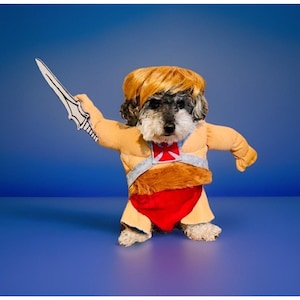 May include: A small dog wearing a tan costume with a red loincloth, a silver harness featuring a red cross emblem, and a blonde wig. The dog is holding a white sword prop in one paw, mimicking a warrior character with a muscular chest design.