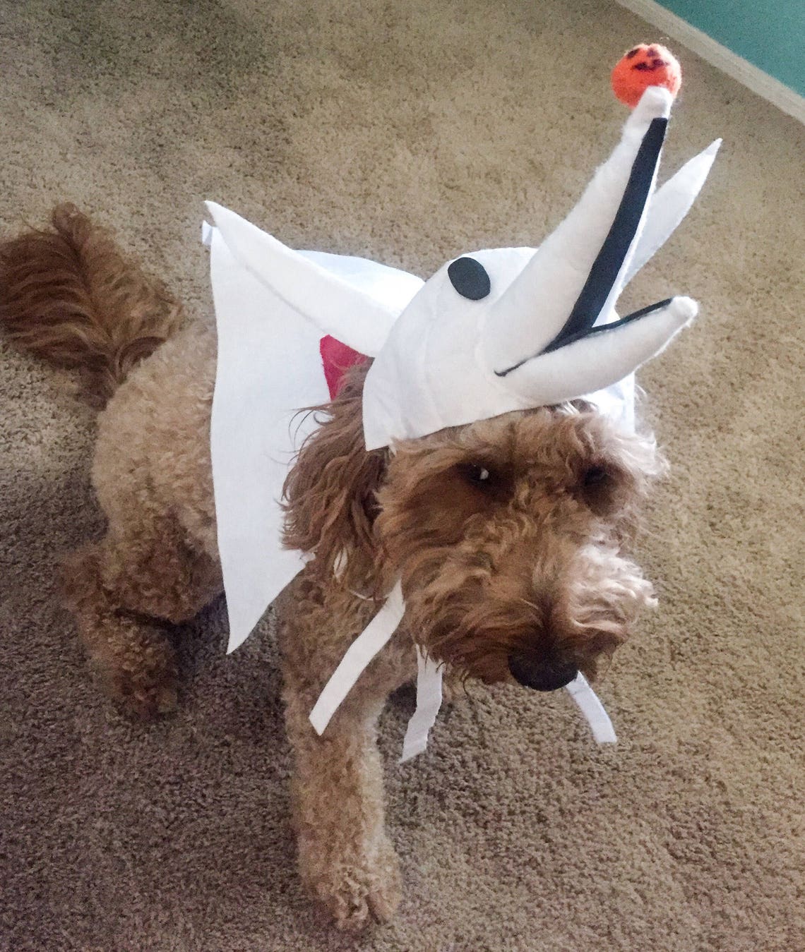 Nightmare Before Christmas ZERO Dog/cat/pet Costume Halloween Etsy