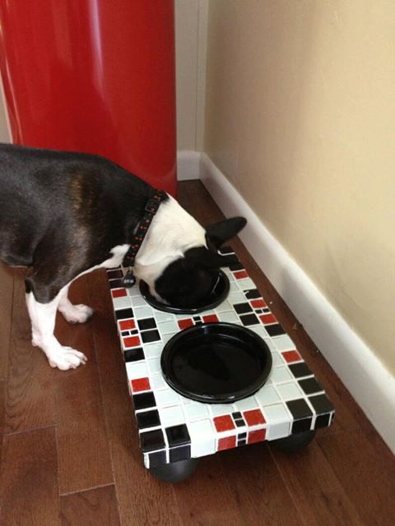 two dog feeding station