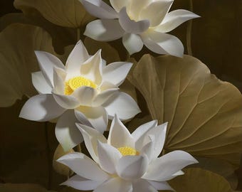 Lotus Wand Incense