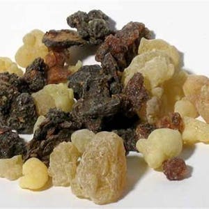 The Eight Seasons Resin Incense