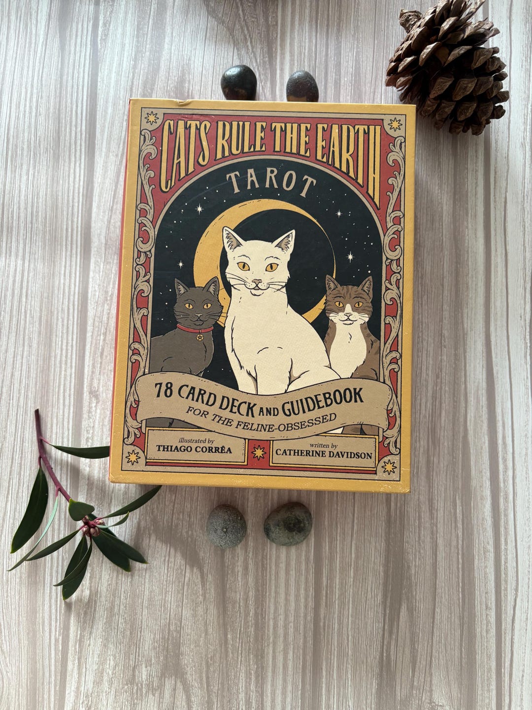 Cats Rule the Earth Tarot Deck | Preloved (USED) Tarot Cards - Etsy