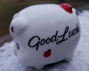 Small Porcelain Piggy Bank with Lady Bug