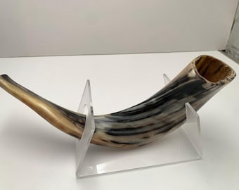 ヤギの角笛　ショファール　ユダヤ教祭具　珍品 コーシャ羊の角笛ショファー：イスラエル産の本物のユダヤ教儀式用角笛