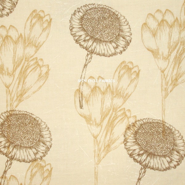 Fleurs de crocus pissenlits, jardin de l'abbaye, lignes botaniques classiques dessinées floral crème, beige neutres, cotons Camelot, tissu à coudre matelassé, 1 mètre