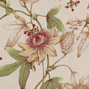 Puede incluir: Primer plano de un patrón floral con flores de la pasión, hojas y vainas de semillas en tonos crema, verde, marrón y burdeos. El diseño se establece sobre un fondo crema claro, creando una estética vintage. La imagen muestra un tema botánico.