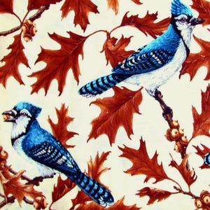 1 Fat Quarter Brilliant BLUE JAYS BLUEJAYS Leaf Acorn Nut Autumn Fall Leaves Oak Tree Herry Smith Timeless Treasures Quilting Sewing Fabric