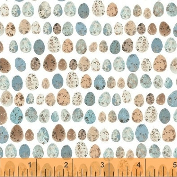 1/2 Yard Birdsong TINY SPECKLED EGGS 50646-2 Insect Nature Study Birds Blue 50646-2 Clare Therese Gray Windham Quilting Sewing Fabric