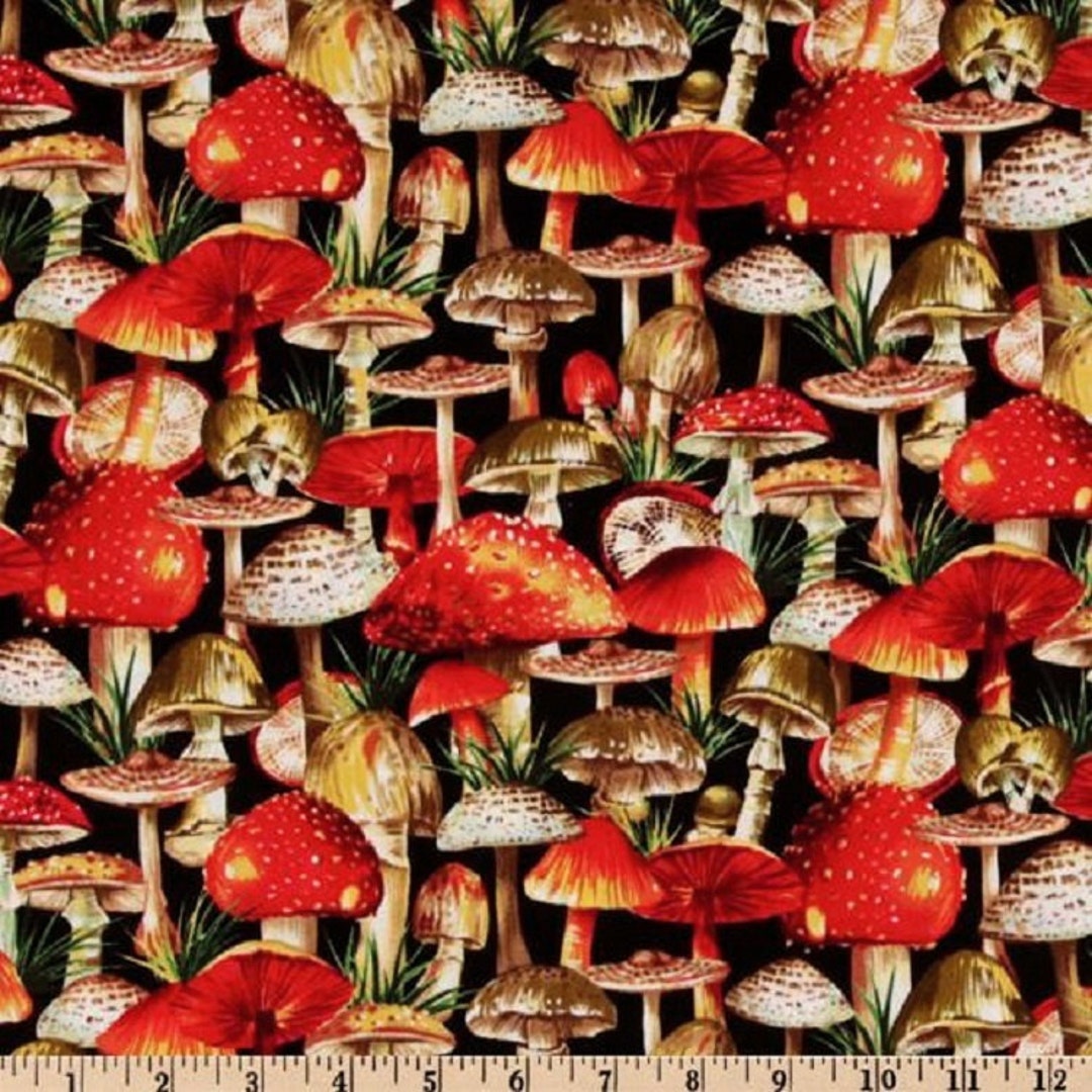 1 Fat Quarter SUMMER MUSHROOMS Dc4171 Fungi Forest