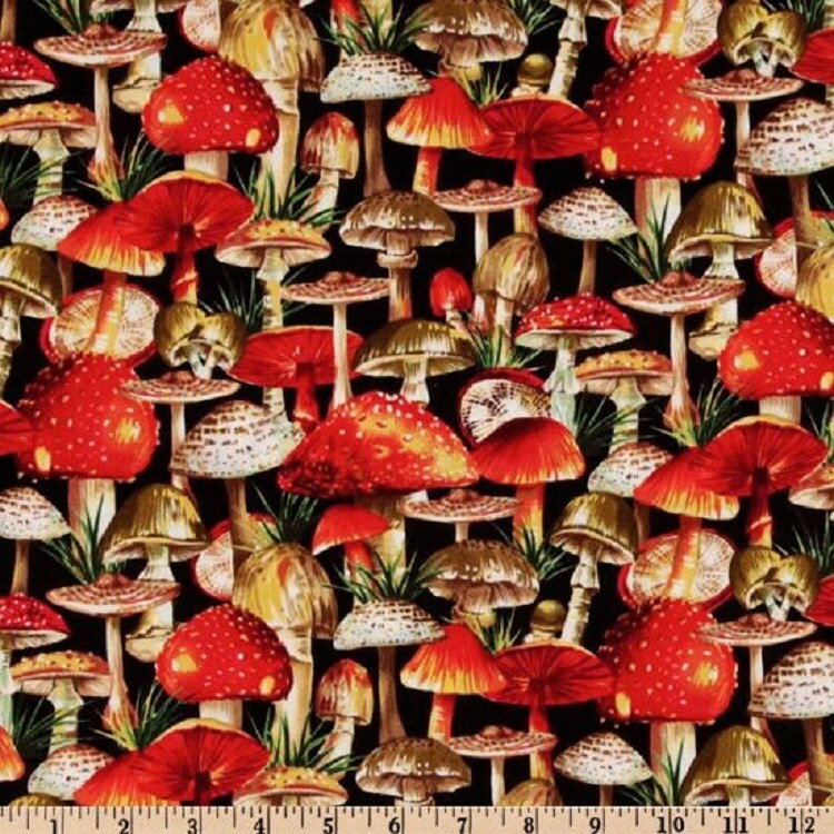 1 Fat Quarter SUMMER MUSHROOMS Dc4171 Fungi Forest
