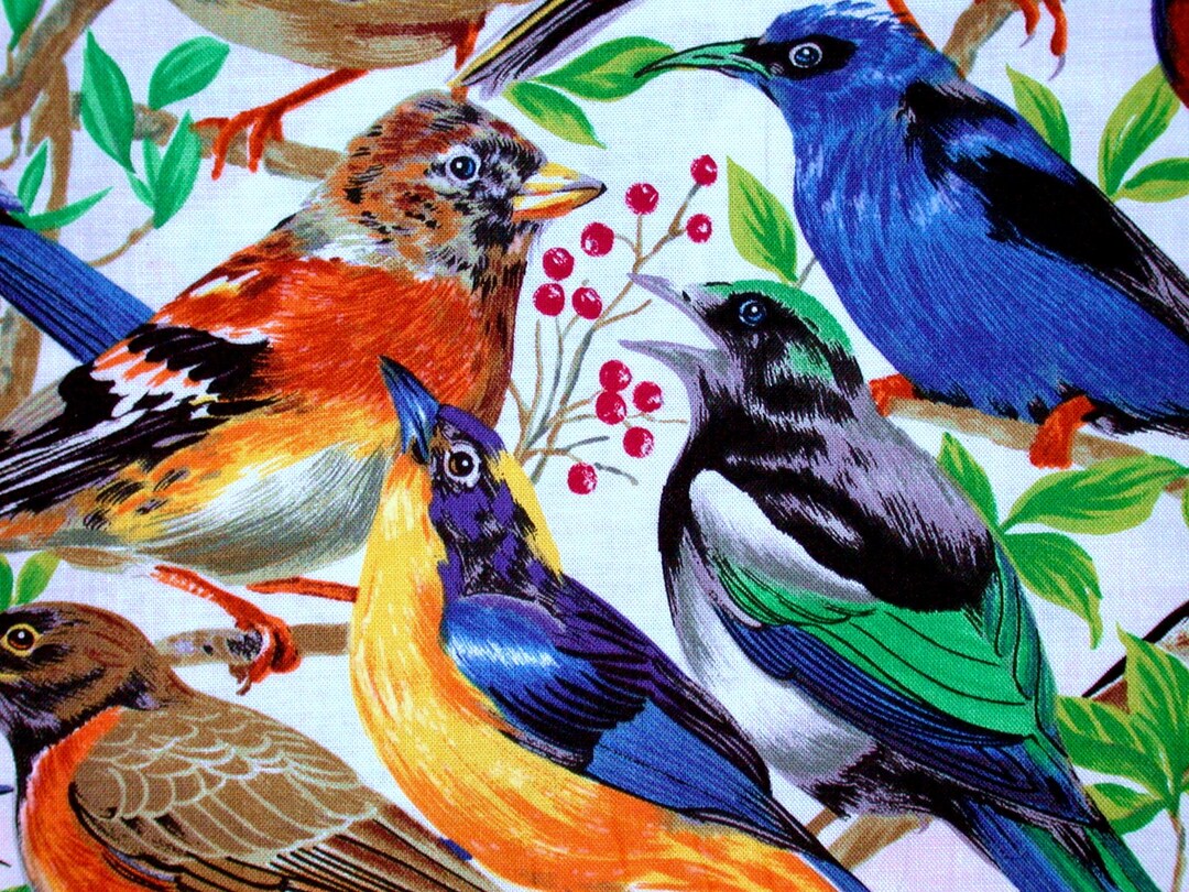 1 Fat Quarter Realistic WINGED BEAUTY Woodland Birds Birding Nature ...