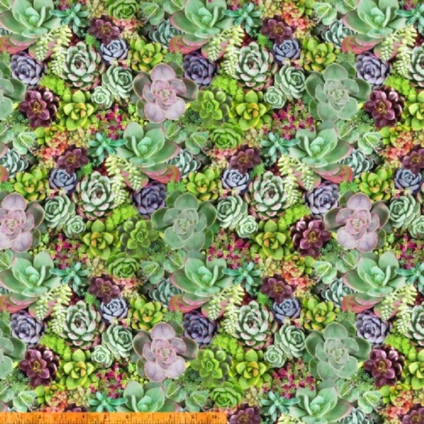 1 Yard SUCCULENT GARDEN 50908-X One of a Kind Potted Plants House Plant Green Whistler Studios Windham Quilting Sewing Fabric