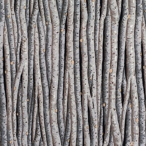 1 Yard YUKON BIRCH FOREST Winter Trees Taupe Grey Wood Grain Woodgrain Woods Abstract Graphic Blender Classic Cottons Quilting Sewing Fabric