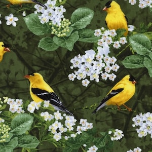 1 Fat Quarter CARDELLINI Alberi Arbusti in fiore Giallo Verde Foresta Studio della natura Uccelli canterini selvatici Tesori senza tempo Quilting Cucito Tessuto