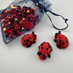 Ladybug Flexi Figure | 3D Printed Articulated Mini | Tiny Micro Fidget Toy | Bug Desk Buddy | Sensory Gift | Cute Insect Collectible