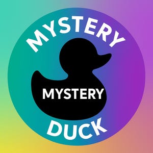 Mystery Duck – Random 3D Printed Duck From Our Collection