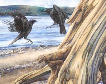 Two for Joy - Digital Print of Crows & Driftwood Watercolor - Matted to 8 x 10 Inches