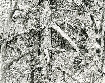 Cascadia Treetops - Original Pen & Ink Drawing - Archivally Matted and Mounted