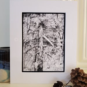 Cascadia Treetops Original Pen & Ink Drawing Archivally Matted and Mounted image 2