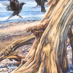 Two for Joy - Digital Print of Crows & Driftwood Watercolor - Matted to 8 x 10 Inches