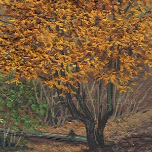 May include: A painting depicting a tree with yellow and orange leaves in a woodland setting. The tree is centrally positioned and surrounded by other trees and shrubs. The ground is covered in fallen leaves.