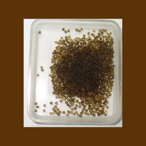 May include: A clear plastic tray filled with small, round, olive-brown beads. The beads are densely packed, with a few scattered around the edges of the tray. The beads appear to be uniform in size and shape, suitable for jewelry making or crafts.
