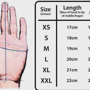 Guanti da moto in pelle Dainese Motored, equipaggiamento protettivo per motociclisti. immagine 2