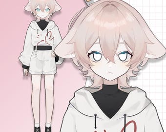 Premade Live2D Vtuber Model: Ready to Use, VTubeStudio Compatible