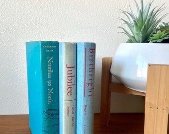 Set of 3 vintage decorative books - turquoise