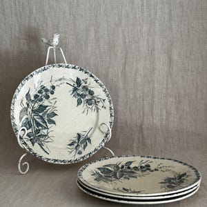 Könnte beinhalten: Ein Set aus cremefarbenen Keramiktellern mit einem dunkelblauen botanischen Dekor aus Brombeerranken und Blättern. Ein Teller steht auf einem weißen Metallständer mit einer kleinen Vogelfigur, während zwei weitere Teller flach gestapelt sind.
