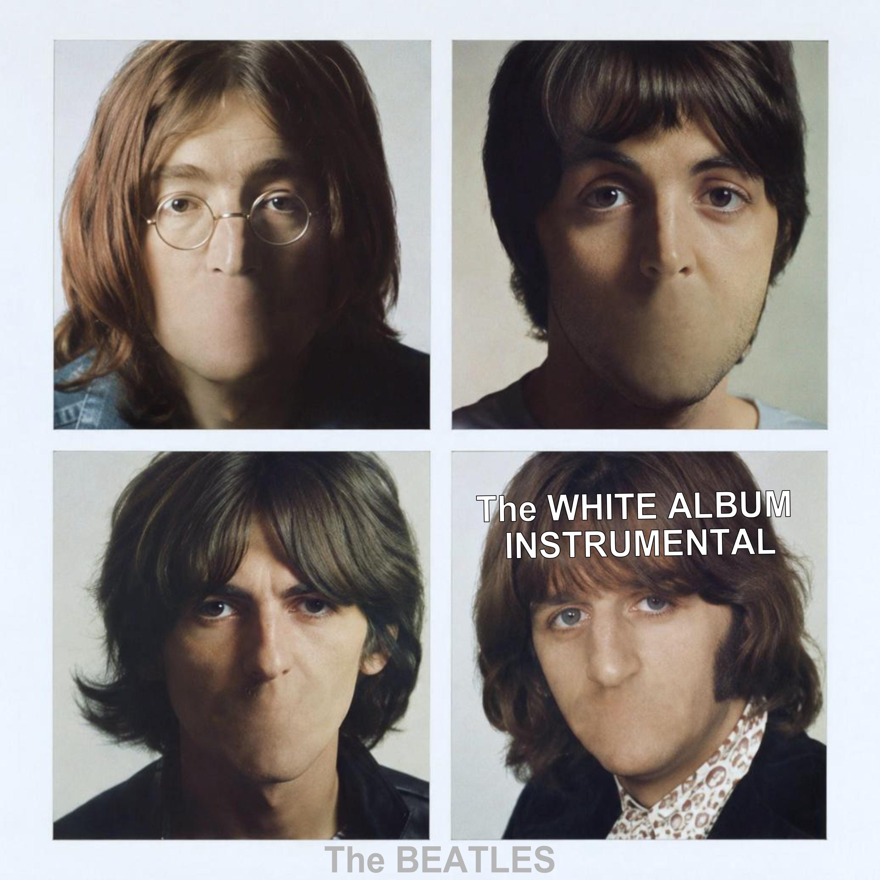 Vinyl Records Beatles White Album - Etsy