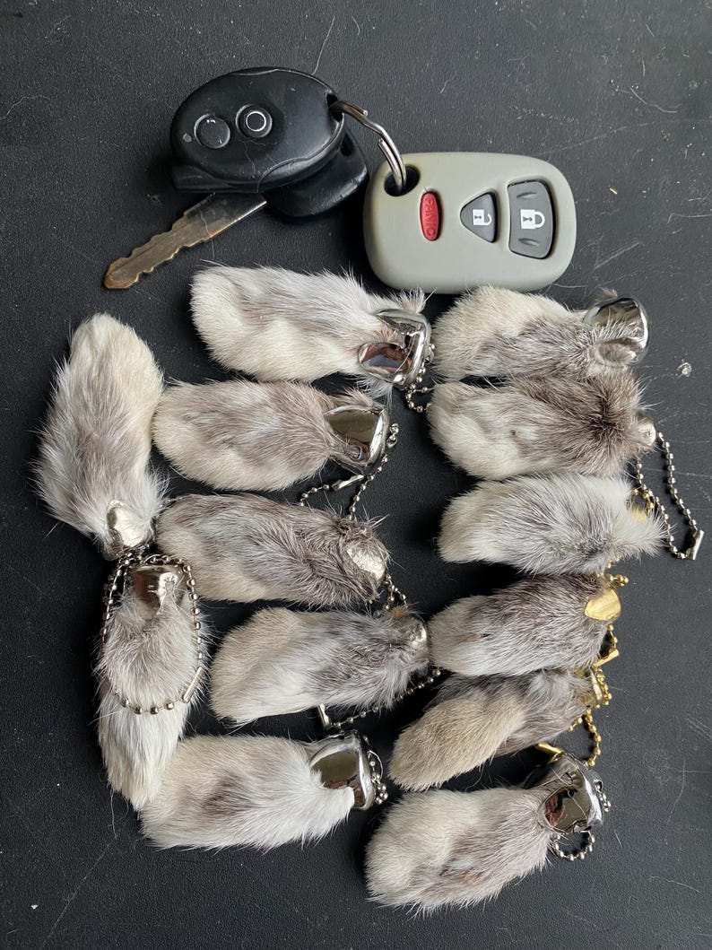 Small Rabbit Foot Keychain Rabbit Foot Front (SMALL) Paw Keychain - Etsy