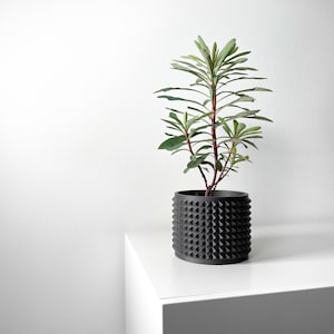 Könnte beinhalten: Eine kleine grüne Pflanze mit roten Stielen in einem schwarzen, strukturierten, geometrischen Topf. Der Topf hat eine Reihe von erhabenen, pyramidenförmigen Designs. Die Pflanze steht auf einer weißen Oberfläche vor einer weißen Wand.