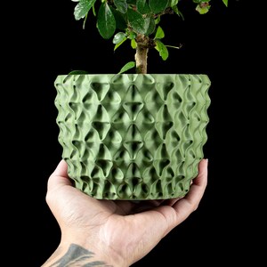 Könnte beinhalten: Ein grüner, strukturierter Blumentopf mit geometrischem Muster, der einen kleinen Bonsai-Baum mit grünen Blättern enthält. Der Topf wird in einer Hand vor schwarzem Hintergrund gehalten. Das Design des Topfes weist ein sich wiederholendes Muster aus erhabenen Rauten auf.