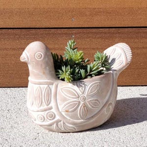 May include: A beige ceramic bird planter with a detailed floral design and a succulent plant inside. The bird-shaped planter has a textured surface and is sitting on a concrete surface.