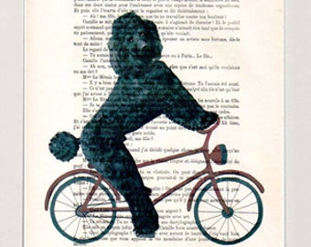 Poodle Print, Poster Illustration Acrylic Painting Animal Portrait  Decor Wall Hanging Wall Art Drawing, Dog on Bicycle