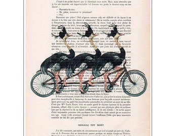 Ostriches on bicycle printed on real vintage paper from around 1900, an original birthday present or just for to decorate your house