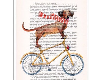 Daschund artwork, bicycle poster, Daschund cycling,christmas gift, holiday gift, christmas idea, daschund lovers, free shipping 4 prints