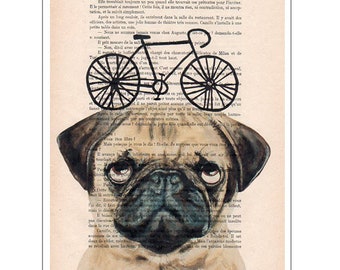 Pug with bicycle artwork printed on real vintage paper from the twenties, original idea for pug lovers, wall decoration or birthday gift.