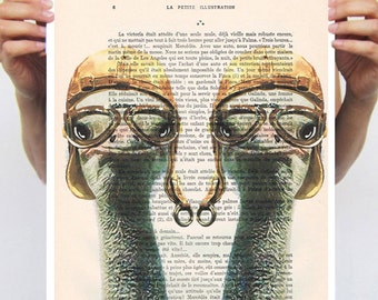 Ostrich Poster, Vintage ostrich, Pilot Ostrich, digital print POSTER 11x16, by Coco de Paris