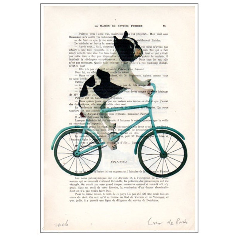 Bulldog on bicycle, frenchie art print, bulldog illustration, frenchie print, boston terrier, frenchie poster, bulldog art, coco de paris image 2