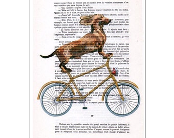 Bicycle Dachshund Print,deviant art,pop art,art attack,art deco,wall art, Animal Portrait, Wall Hanging,Wall Art Drawing,Dog on Bicycle